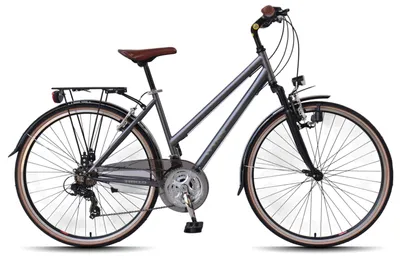Produktbild von WYNN Trekkingrad 28 Zoll TRK1.0 grau Rahmenhöhe 53 cm Damen 21 Gänge V-Brake