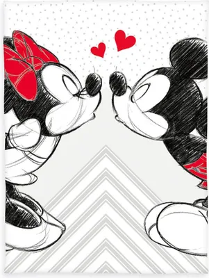 Immagine prodotto di Coperta Disney Mickey & Minnie in microfibra / 150x200 cm