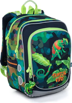 Produktbild von Schulrucksack Chamäleon Topgal ENDY 22055