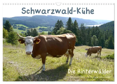 Produktbild von Schwarzwald-Kühe - Die Hinterwälder (Wandkalender 2027 DIN A3 quer), CALVENDO Monatskalender