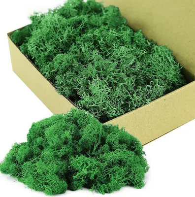 Produktbild von Moosdeko, 500g, konserviert, gereinigt, zum Basteln, Dekomoos für Ostern, Weihnachten, für Modellbau, Handarbeit, Moosbild Deko