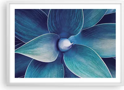 Produktbild von Gerahmtes Poster - Weißer Rahmen - Agave Blau Blume - 70x50 cm - Wand Bild - Wanddeko - Wandbilder - Kunstposter - Wandposter - Bilderrahmen - Bilder - Kunstdruck - Wanddekoration - P2WAA70x50-4972