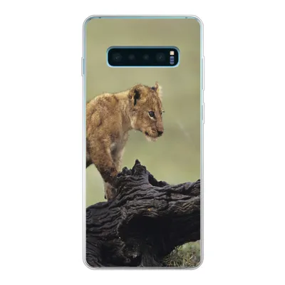 Produktbild von MuchoWow® Handyhülle Schutzhülle Hülle für Samsung Galaxy S10 Plus Löwe - Rüssel - Junge Silikon Softcase Handy Hülle - Schutzhülle