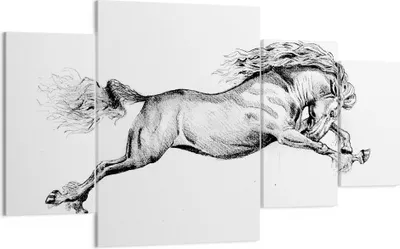Produktbild von Bild auf Leinwand - Leinwandbild - 4 Teile - Pferd Zeichnung Bleistift - 160x90cm - Wand Bild - Wanddeko - Wandbilder - Leinwanddruck - Bilder - Wanddekoration - Leinwand bilder - DL160x90-4906