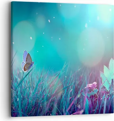 Produktbild von Bild auf Leinwand - Leinwandbild - Schmetterling Wiese Blume - 40x40cm - Wand Bild - Wanddeko - Leinwanddruck - Bilder - Kunstdruck - Wanddekoration - Leinwand bilder - Wandkunst - AC40x40-4077