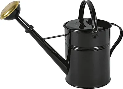 Obrázek produktu pro KOVOTVAR 26050132012 konev s rozprašovačem, kovová, lakovaná, 9 litrů, zelená
