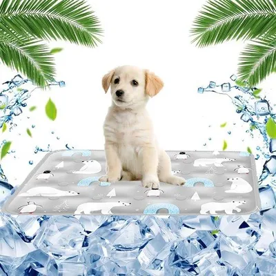Image de Tapis rafraîchissant 40 x 50 cm, lavable, à effet rafraîchissant, pour petits chiens et chats