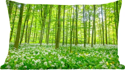 Produktbild von MuchoWow® Zierkissen Sofakissen Wohnzimmer Dekokissen 50x30 cm Wald - Bäume - Grün - Wohnzimmerdekoration - Polster mit Photo