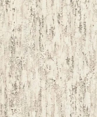 Produktbild von Rasch Composition | 554052 | Vliestapete Putzoptik | 0.53 m x 10.05 m | Beige