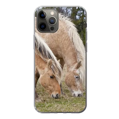 Produktbild von MuchoWow® Handyhülle Schutzhülle Hülle für iPhone 12 Pro Zwei grasende Fjordpferde auf einer Wiese Silikon Softcase Handy Hülle - Abdeckung