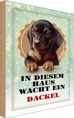 Produktbild von vianmo Holzschild 18x12 cm Hund in diesem Haus wacht ein Dackel Tier Haustier