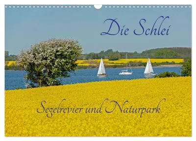 Produktbild von Die Schlei - Segelrevier und Naturpark (Wandkalender 2027 DIN A3 quer), CALVENDO Monatskalender