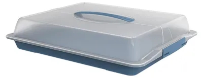 Produktbild von Rotho Kuchentransportbox mit Deckel und Griff John - Partybutler 47,5 x 39,0 x 9,8 cm - Tortenplatte mit Tragegriff - Kuchencontainer aus Kunststoff