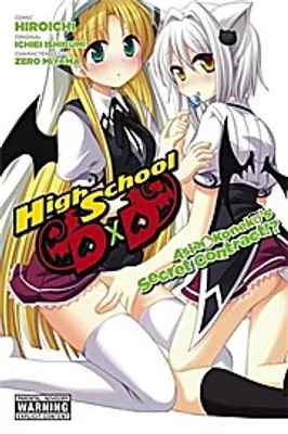 Produktbild von High School DXD