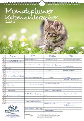 Produktbild von Katzenkinderzauber Planer Familienplaner 4 Spaltenplaner DIN A3 Kalender für 2026 Katzenkinder Katzenbabys - Seelenzauber