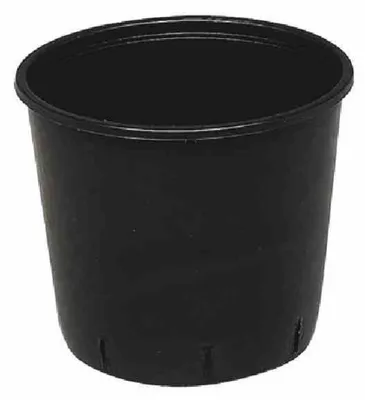 Image de Conteneur à plantes 15 Ltr/33Cm 1101554