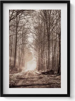Produktbild von Waldweg in Sepia-Farben– Wandbild mit Rahmen – Gerahmtes Bild  – Wanddekoration – 50x70 cm –  Schwarz Rahmen