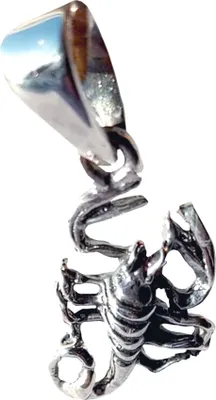 Produktbild von Silber Anhänger Sternzeichen Skorpion aus 925 er Sterling