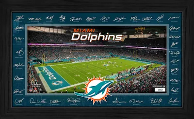 Image de Miami Dolphins 2025 NFL Signature Gridiron Bild