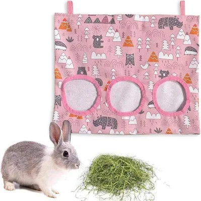 Produktbild von Grüner Futterteller für Meerschweinchen und Hamster mit 3 Öffnungen