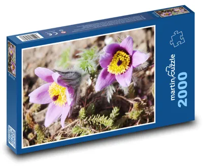 Obrázek produktu pro martinpuzzle - Puzzle 2000 - Koniklec