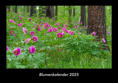 Produktbild von Blumenkalender 2025 Fotokalender DIN A3