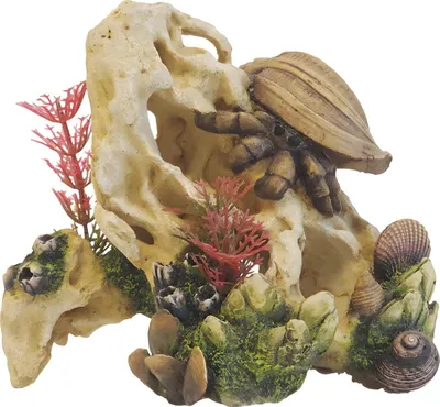 Produktbild von Nobby Aquariendekoration Aqua Ornaments Muschel auf Stein