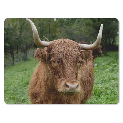 Produktbild von MuchoWow® Mauspad Mousepad Schottische Highlander - Tiere - Gras 40x30 cm - Mousepads - Maus Mat - Pad - Mausunterlage - Anti Rutsch