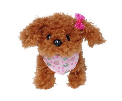 Produktbild von CCL Tea Cup Poodle Puppy