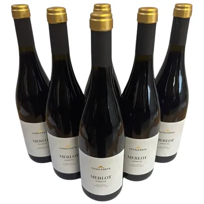 Produktbild von Casalforte Merlot Veneto IGT 2022 - Cantine Riondo - 6 x 0,75 l - Rotwein