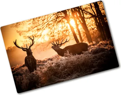 Produktbild von Tulup Glas Herdabdeckplatte - 80x52 cm - Glaskeramikkochfeld-Abdeckung Spritzschutz Glasabdeckplatte - Einteilig - Tiere - Hirsch Sonnenaufgang - Braun