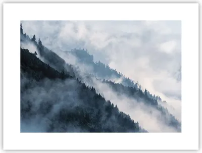 Produktbild von Poster - Poster ohne Rahmen - Berge Nebel Bäume - 40x30 cm - Wand Bild - Wanddeko - Wandbilder - Kunstposter - Wandposter - Bilder - Kunstdruck - Wanddekoration - Wandbild - P2XAA40x30-4429