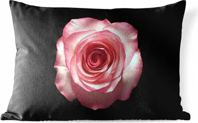 Produktbild von MuchoWow® Outdoor Kissen - Rose - Rosa - Blätter - 60x40 cm - Wetterfest - Lounge Kissen - Zierkissen - Kissen für Innenräume
