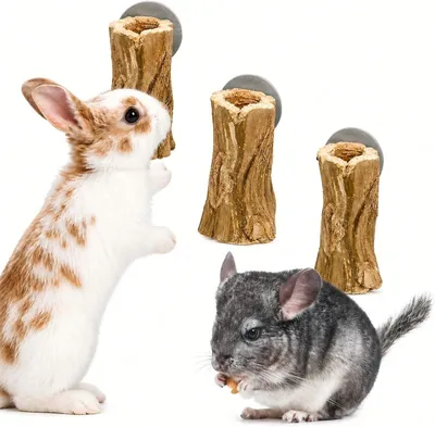 Produktbild von Kauspielzeug für kleine Nager, 3 Stück, natürlich, für Kaninchen und Meerschweinchen