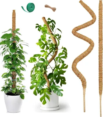 Zdjęcie produktu dla Elastyczne podpory do roślin, 60 cm, zestaw 4 sztuk, wykonane z włókna kokosowego