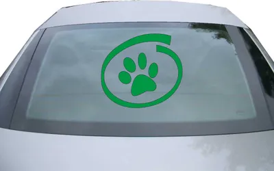 Produktbild von Indigos UG - Aufkleber Heckscheibe & Motorklappe DE2449 - grün - 600x549 mm - Katze inside - Auto Scheiben Fenster Heckklappe Tuning Racing JDM - Die cut