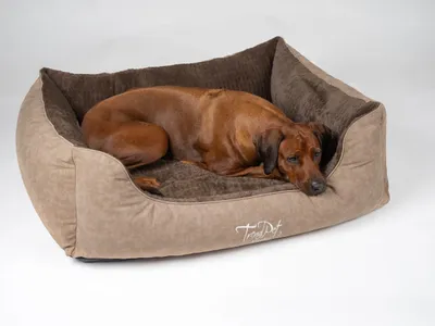 Immagine prodotto di TrendPet VitaBed Style letto ortopedico per cani marrone (120x100x30cm)