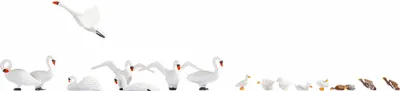 Produktbild von NOCH Schwäne und Enten, HO (1:87), Mehrfarbig