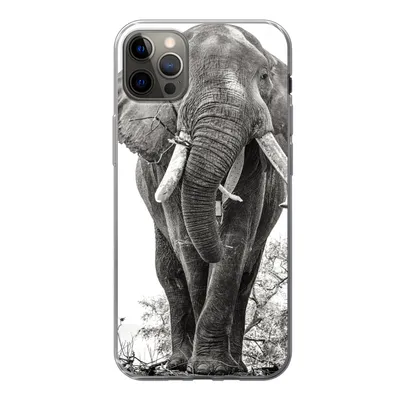 Produktbild von MuchoWow® Handyhülle Schutzhülle Hülle für iPhone 12 Pro Max Elefant - Porträt - Tiere - Schwarz und weiß Silikon Softcase Handy Hülle - Hartschale