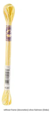 Produktbild von DMC Stickgarn Mouline Variations 417F -4080, 6-fädig, 8m