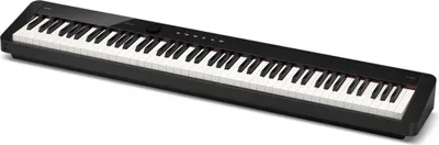 Zdjęcie produktu dla Casio PX-S5000