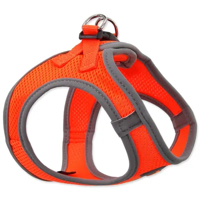 Obrázok produktu pre Postroj DOG FANTASY Puppy oranžový M 1 ks