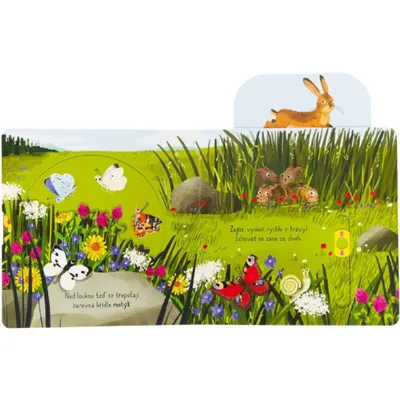 Imagen del producto de Svojtka & Co. In der Natur - Große Entdeckungen für kleine Entdecker
