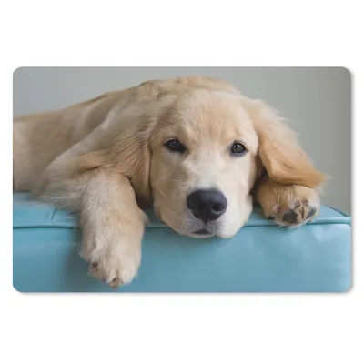 Produktbild von MuchoWow® Mauspad Mousepad Ein liegender Golden Retriever 27x18 cm - Mousepads - Maus Mat - Pad - Mausunterlage - Büroartikel - Desk Matten