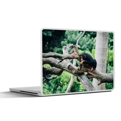 Produktbild von MuchoWow® Laptop Aufkleber Sticker Cover Junger Schimpanse im Dschungel 30x22 cm - Laptop-Sticker