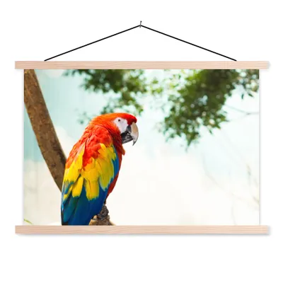 Produktbild von MuchoWow® Textilposter Papagei - Vogel - Regenbogen - Tropisch 120x80 cm mit holzfarbenen Rahmen - Aufhängeset
