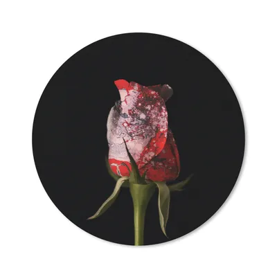 Produktbild von MuchoWow® Mauspad Mousepad Rosen - Blumen - Farbe 20x20 cm - Mousepads - Maus Mat - Pad - Mausunterlage - Schreibtischmatte
