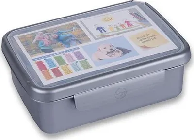 Obrázek produktu pro Svačinový box Zdravá sváča šedý (barva nerezu)