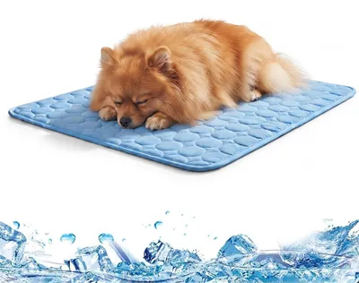 Kühlmatte für Hund & Katze, selbstkühlend, Blau, S