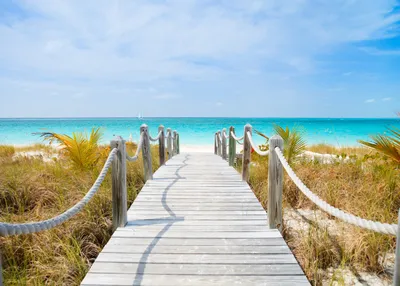 Produktbild von Fototapete Vlies 21557 Dunes Carribean Beach 8-tlg. 400 x 260 cm